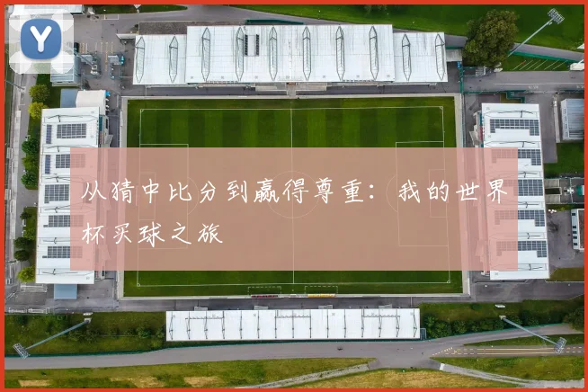 从猜中比分到赢得尊重：我的世界杯买球之旅